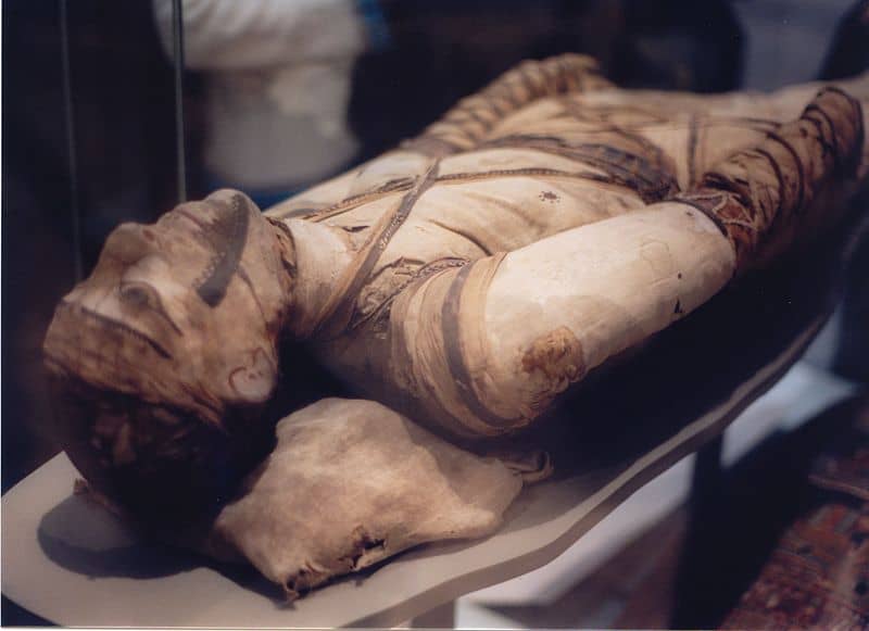 Egyptian Mummy