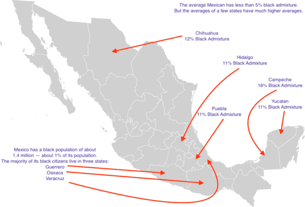 Blacks in Mexican States Map