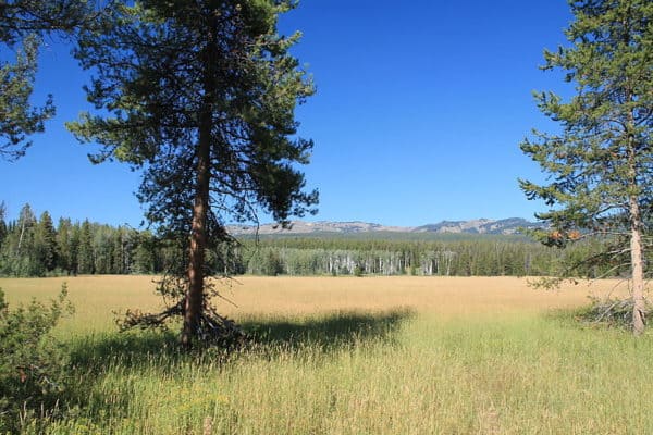 Yellowstone National Park 