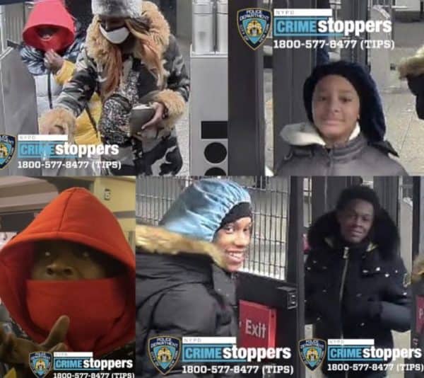 NYC Train suspects